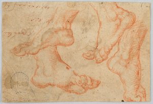 Cztery studia stopy autorstwa Unknown artist