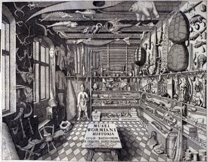 Frontyspicjum „Musei Wormiani Historia” ukazujące wnętrze gabinetu osobliwości Ole Worma lub Olausa Wormiusa autorstwa Unknown artist