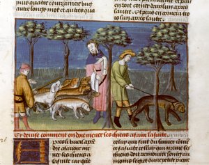 Gaston Phoebus, Traktat myśliwski autorstwa Unknown artist