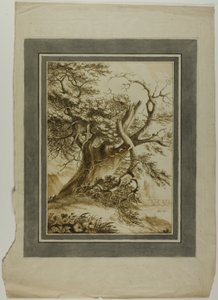 Giant Oak autorstwa Unknown artist