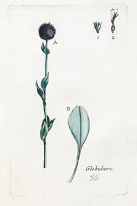 Kulisty autorstwa Unknown artist