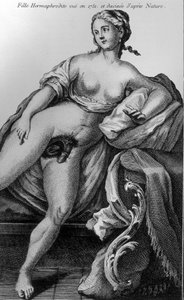 Hermafrodyta widziana w 1751 roku i zaczerpnięta z natury. autorstwa Unknown artist
