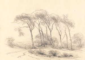 Wysokie drzewa autorstwa Unknown artist