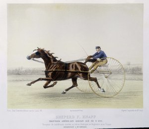 Jazda konna: Owczarek F. Knapp, kłusak - w „”centaurze”” autorstwa Unknown artist
