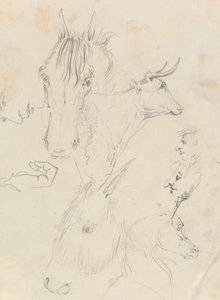Cavalos, Vacas e Menpolish autorstwa Unknown artist