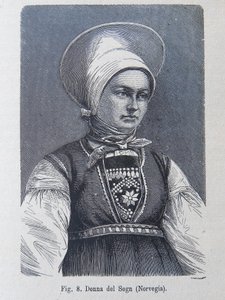 Ilustracja z „Rasy ludzkiej” Louisa Figuier autorstwa Unknown artist