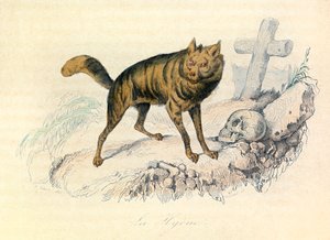 Ilustracja z książki "Complete Works of Buffon": Les Quadrupedes: La hyene (rycina) autorstwa Unknown artist