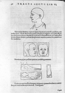 Obraz fizjonomii z „Collectio Operum” Roberta Fludda (Robertus de Waves). Londyn 1617. autorstwa Unknown artist