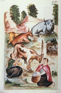 Indyjscy pasterze opiekujący się krowami, z książki „Trujillo del Peru” lub „Códice Martínez Compañón”, Baltazara Martineza Compañón y Bujanda, biskupa Trujillo (1782-1785) autorstwa Unknown artist