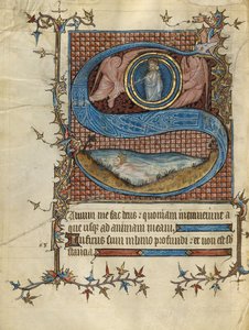 Initial S: David in the Water autorstwa Unknown artist