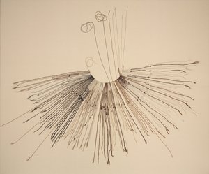 Inka Khipu (urządzenie rejestrujące światłowód) autorstwa Unknown artist