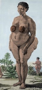 La Venus Hottentote, kobieta rasy Bochiman; (The Hottentot Venus), grawerowanie z 1815 roku. autorstwa Unknown artist