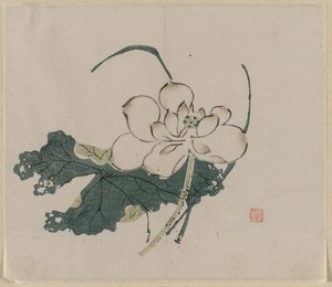 Lotus Blossom   1295343   pl       polish Successfully Translated  Original: Study of an interior Translat: Study of an interior 1338029 pl polish Successfully Translated Original: The Natural Bridge (Va.) Translat: The Natural Bridge (Va.) 1333576 pl poli autorstwa Unknown artist
