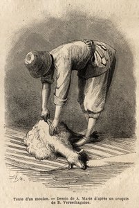 Koszenie owiec przez młodego Tatara w Schusha (Zakaukazie, Rosja). Rycina ilustrująca podróż po prowincjach Kaukazu, Basile Vereschaguine, w latach 1864-1865, opublikowana w „” le tour du monde””, pod kierunkiem D