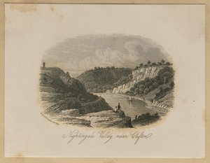 Nightingale Valley, w pobliżu Clifton autorstwa Unknown artist