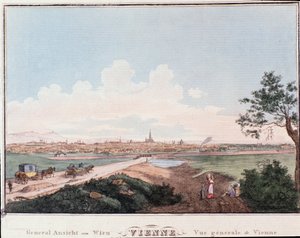 Przegląd miasta Wiednia z mostem na Dunaju. Grawer Austria z 1830 r. Kolekcja prywatna autorstwa Unknown artist