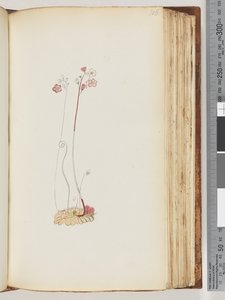 Strona 106. Brak napisu, rysunek niedokończony autorstwa Unknown artist
