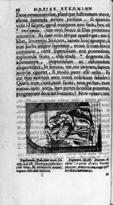 Strona ilustrowana wydaniem „” L