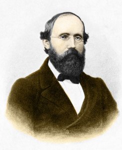 Portret Bernharda Riemanna (1826-1866.) niemieckiego matematyka autorstwa Unknown artist