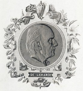 Portret Jeana Baptiste Lamarcka - grawer autorstwa Unknown artist