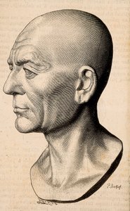 Portret Publiusza Korneliusza Scypiona Afrykańskiego, rzymskiego męża stanu (235-183 p.n.e.). autorstwa Unknown artist