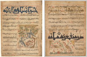 Cechy Ringdoves (recto); O dobrodziejstwach przepiórek (verso), od perskiego Manafi