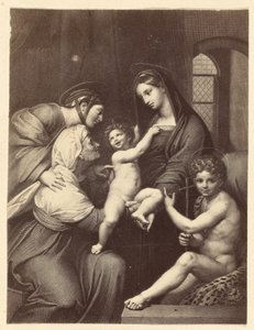 ["Madonna dell