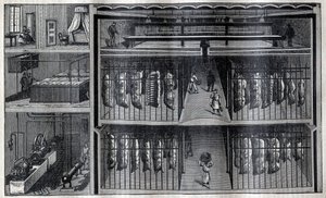 Chłodnie na mięso - Grawerowanie z „La Science francaise”” autorstwa Unknown artist