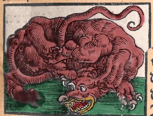 Reprezentacja smoka. Grawer z „Den Ellen Strength Beste Fromen” Johanna Stumpffa. 1550 autorstwa Unknown artist