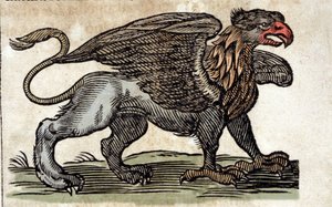 Przedstawienie gryfa, fantastyczne stworzenie pół-orzeł pół-lew. Rycina z dzieła Atanazego Kirchera (1601 - 1680), jezuity, orientalisty i uczonego. autorstwa Unknown artist