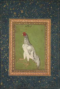 Kogut autorstwa Unknown artist