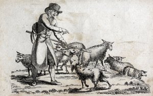 Pasterz ze swoim stadem owiec. Grawerowanie pod koniec XVIII wieku. Prywatna kolekcja. autorstwa Unknown artist