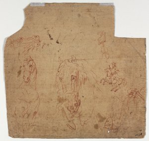 Szkice koni i jeźdźców (recto) autorstwa Unknown artist
