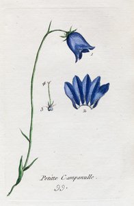 Mały dzwonek autorstwa Unknown artist