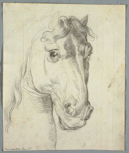 Studium konia autorstwa Unknown artist