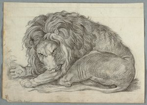 Studium lwa autorstwa Unknown artist