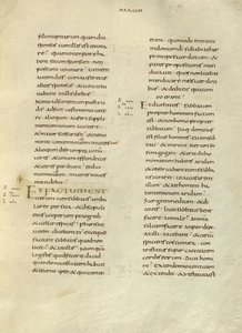 Strona tekstowa autorstwa Unknown artist