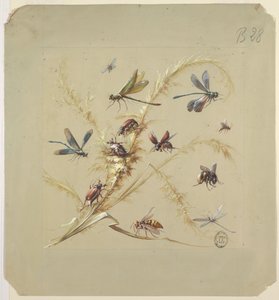 Projektowanie tkanin lub tapet: Owady autorstwa Unknown artist
