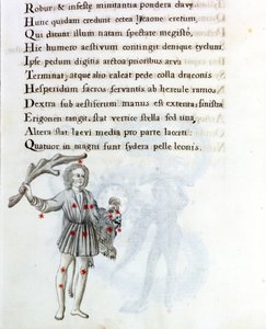Przedstawiona konstelacja to konstelacja Bouvier (lub Buta), która podtrzymuje włosy Bereniki lewą ręką. Strona z XVIII-wiecznego rękopisu opartego na oryginalnym rękopisie „Astronomica” Biasino da Parmy (Blaise of Parma) (1425-1457) datowanego autorstwa Unknown artist
