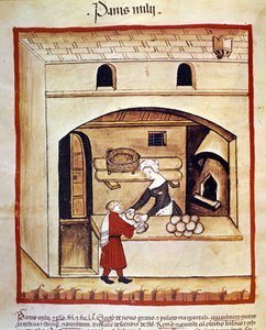 Przygotowanie chleba z kaszą jaglaną. Oświetlenie z doju medycyny i dietetyki „”Tacuinum sanitatis”” autorstwa Unknown artist