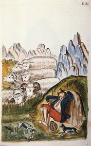 Pasterz i jego stado owiec, z książki „Trujillo del Peru” lub „Kodeks Martinez Companion”, autorstwa Baltazara Martineza Companion i Bujanda, biskupa Trujillo (1782-1785) autorstwa Unknown artist
