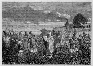 Winorośle wykorzenione w Galach z rozkazu cesarza Domicjana - w „Cuda przemysłu” Louisa Figuiera, Paryż autorstwa Unknown artist