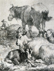 Zaprzęgnięty koń, koza, koza i baran - grawerowanie autorstwa Unknown artist