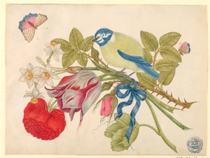 Żółto-niebieski ptak na bukiet z różą, tulipanami i żonkilami, z motylami autorstwa Unknown artist