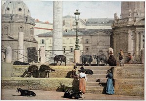 Starożytny Rzym: widok na Forum Rzymskie. Włochy, koniec XIX wieku. autorstwa Unknown photographer