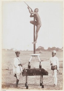 Ćwiczenia lekkoatletyczne w Obozie Ćwiczeń w Delhi autorstwa Unknown photographer