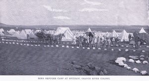 Obóz dla uchodźców burskich na Spitzkop, kolonia Orange River, z książki After Pretoria: The Guerilla War wydanej przez Harmsworth Bros Limited autorstwa Unknown photographer