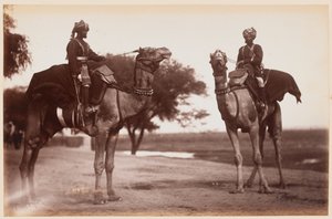 Sowars wielbłądów w obozie ćwiczeń w Delhi autorstwa Unknown photographer
