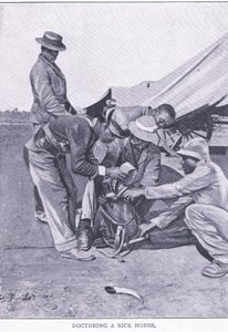 Leczenie chorego konia z książki After Pretoria: The Guerilla War wydanej przez Harmsworth Bros Limited autorstwa Unknown photographer