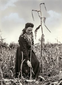 Friulian wytłaczany autorstwa Unknown photographer